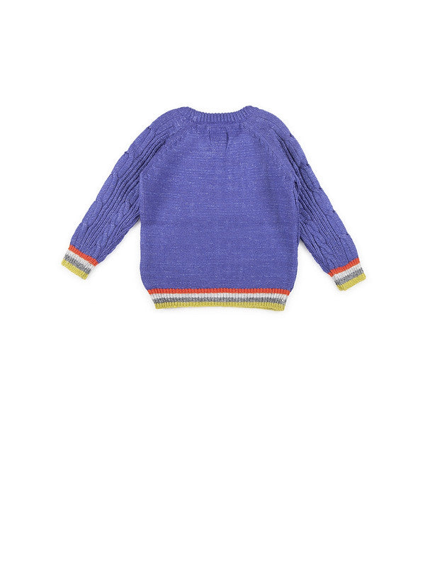 Boys Self Design Round Neck Blue Sweater