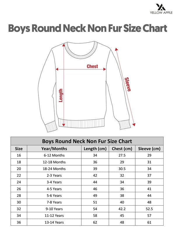 Boys Woolen Warm Sweater Full Sleeve with Round Neck