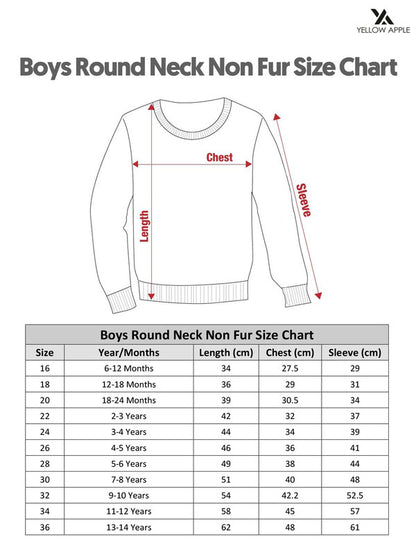 Boys Woolen Warm Sweater Full Sleeve with Round Neck