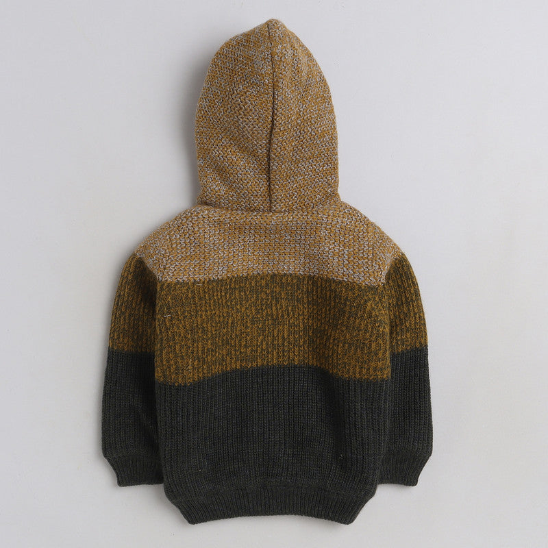 Boys Cozy and Warm Woolen Hoodies Full Sleeve With inner Fleece