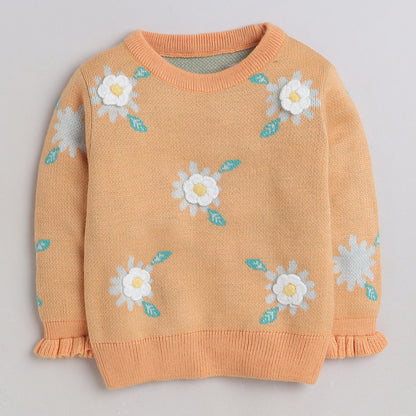 Beautiful Embroidered Woolen Warm Sweater Full Sleeve for Girls
