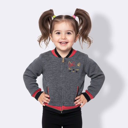 Baby Girls Embroidered Round Neck  Sweater