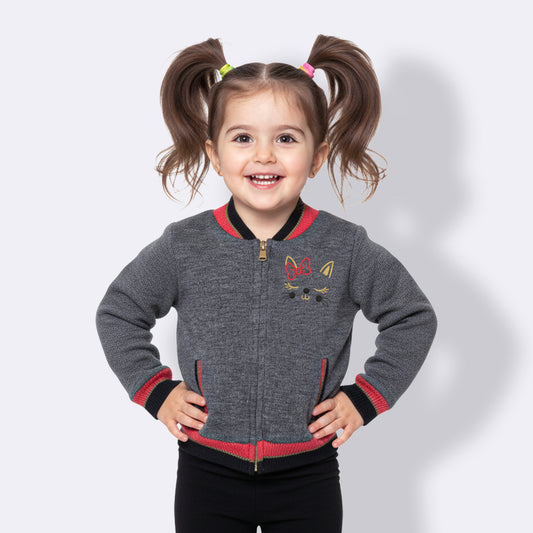 Baby Girls Embroidered Round Neck  Sweater