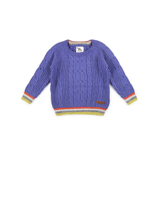 Boys Self Design Round Neck Blue Sweater
