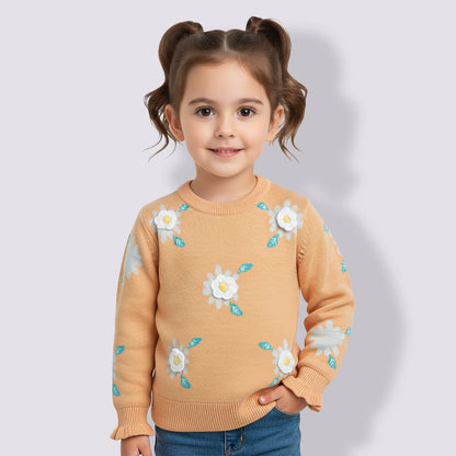 Beautiful Embroidered Woolen Warm Sweater Full Sleeve for Girls