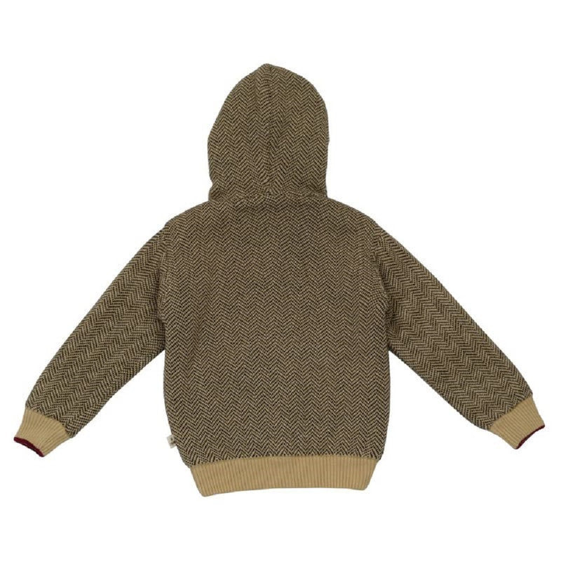 Baby Boys Self Design Hooded Neck Beige Sweater