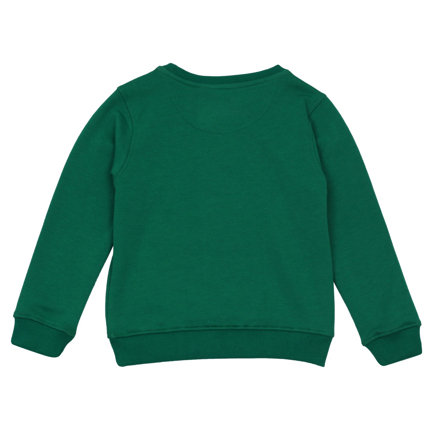 Beautiful Green Color Woolen Warm Sweater Full Sleeve for Girls