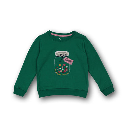 Beautiful Green Color Woolen Warm Sweater Full Sleeve for Girls