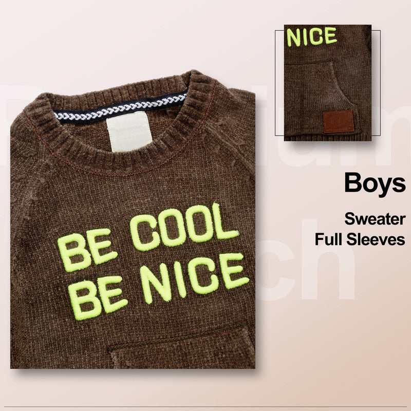 Baby Boys Self Design Round Neck Brown Sweater