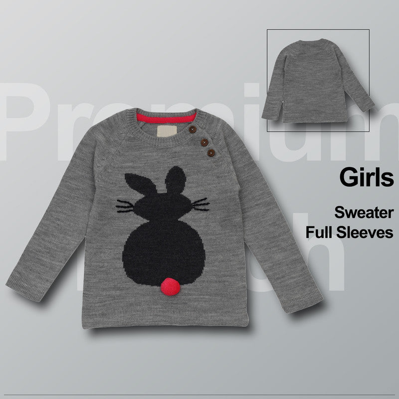 Baby Girls Self Design Round Neck Grey Color  Sweater