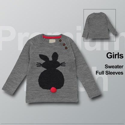 Baby Girls Self Design Round Neck Grey Color  Sweater