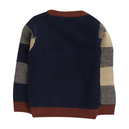 Boys Colorblock Round Neck  Sweater