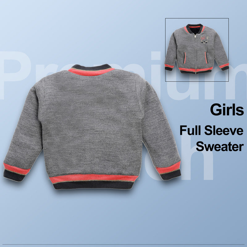 Baby Girls Embroidered Round Neck  Sweater