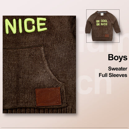 Baby Boys Self Design Round Neck Brown Sweater