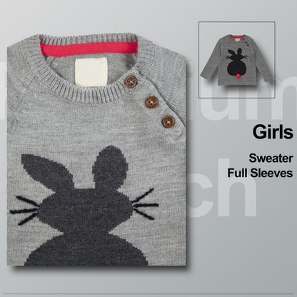 Baby Girls Self Design Round Neck Grey Color  Sweater