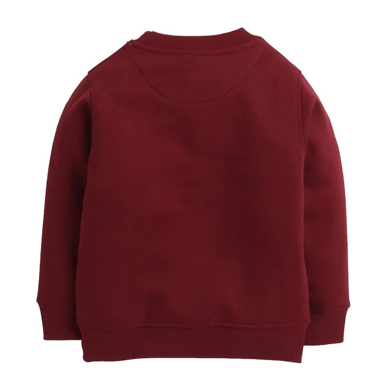 Track Suit for Boys with Inner Fleece