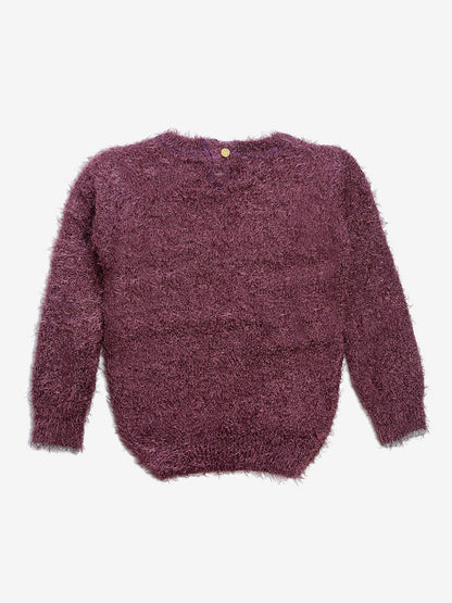 Girls Embellished Round Neck  Sweater