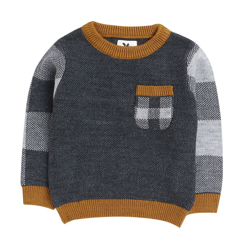 Boys Colorblock Round Neck  Sweater