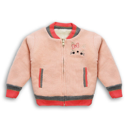 Baby Girls Embroidered Round Neck  Sweater