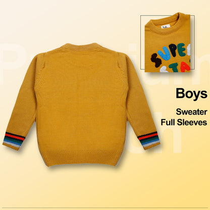 Boys Self Design Round Neck Blue Sweater