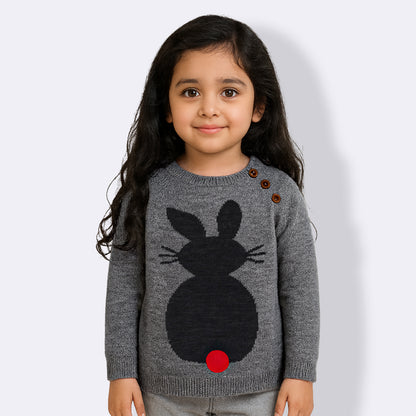 Baby Girls Self Design Round Neck Grey Color  Sweater