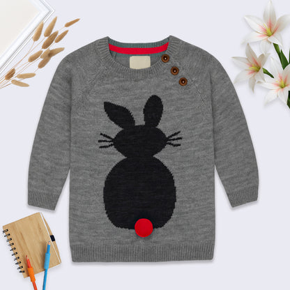 Baby Girls Self Design Round Neck Grey Color  Sweater