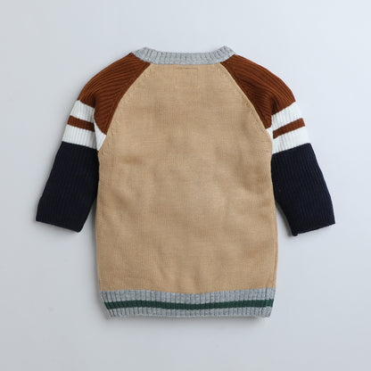 Boys full sleeve multicolor sweater