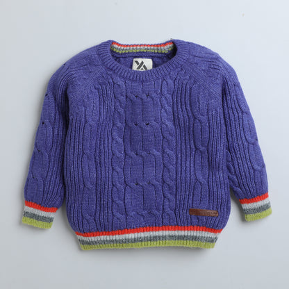 Boys Self Design Round Neck Blue Sweater