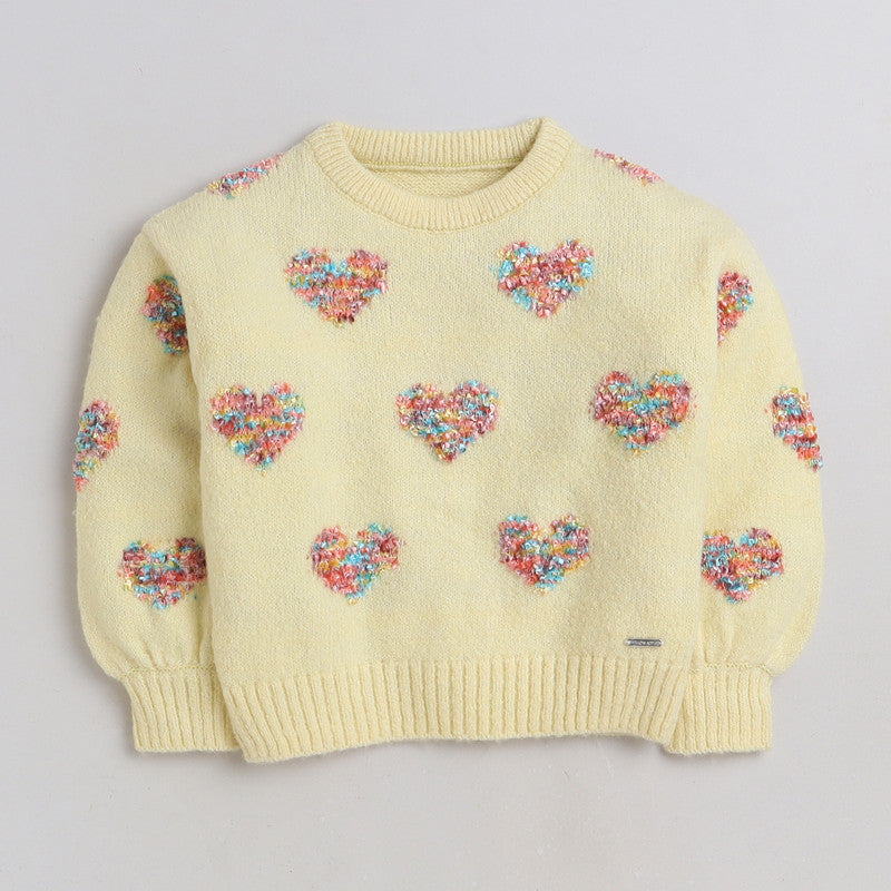 Beautiful Embroidered Woolen Warm Sweater Full Sleeve for Girls