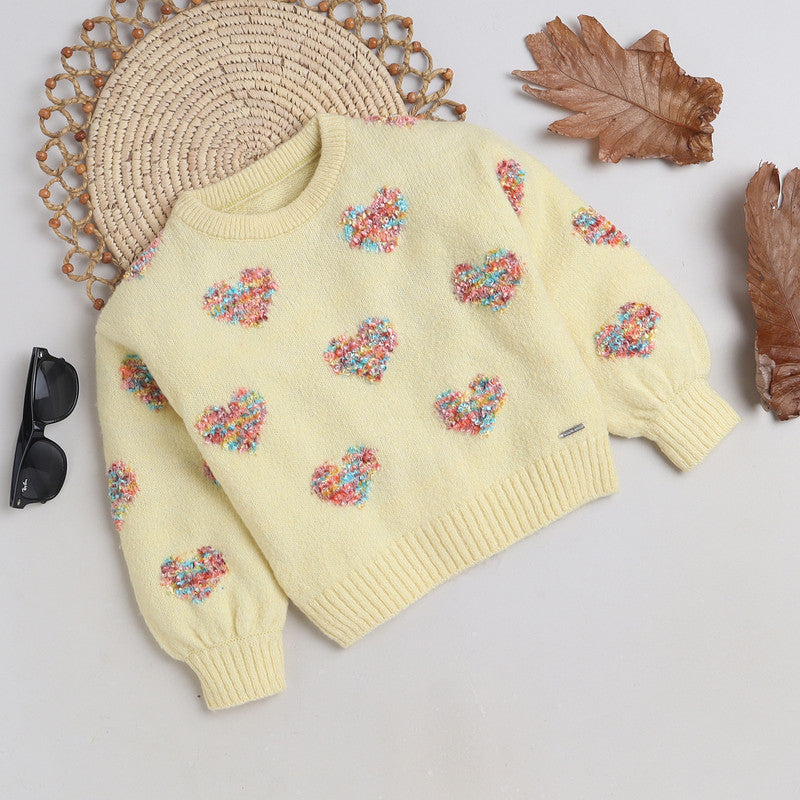 Beautiful Embroidered Woolen Warm Sweater Full Sleeve for Girls