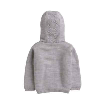 Baby  Self Design Hooded Neck  Sweater