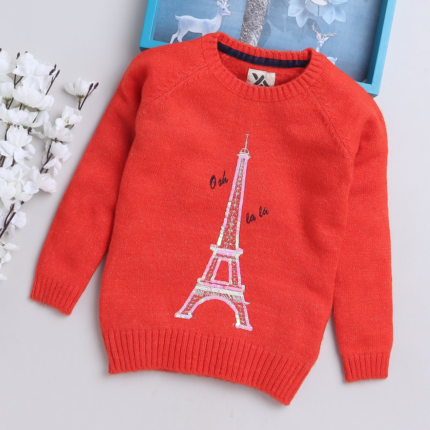 Baby Girls Embroidered Round Neck Orange Sweater