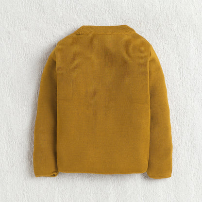 Unisex Baby & Kids Winter T-Neck Sweater | Warm Woollen Skivvy Pullover for Boys & Girls