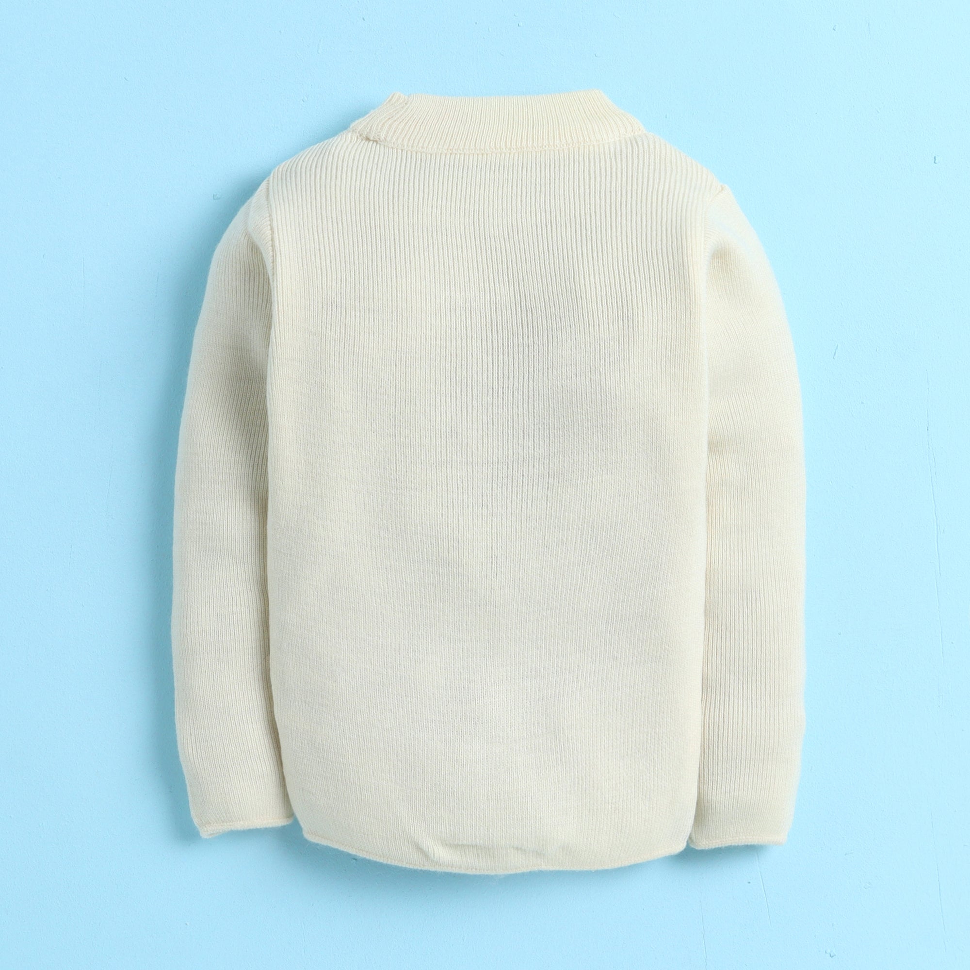 Unisex Baby & Kids Winter T-Neck Sweater | Warm Woollen Skivvy Pullover for Boys & Girls