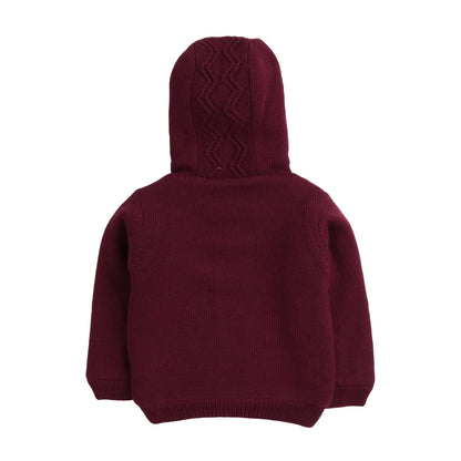 Baby  Self Design Hooded Neck  Sweater