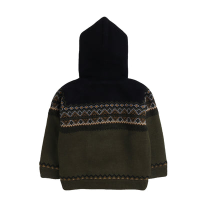 Baby Boys Self Design Hooded Neck Sweater