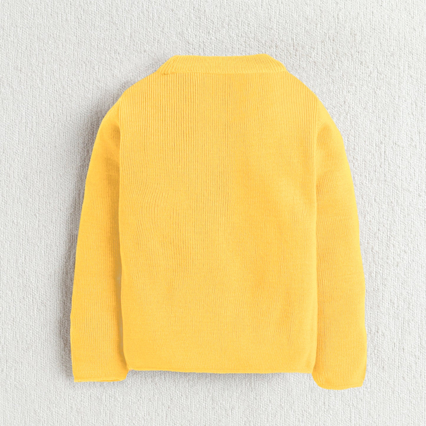 Unisex Baby & Kids Winter T-Neck Sweater | Warm Woollen Skivvy Pullover for Boys & Girls