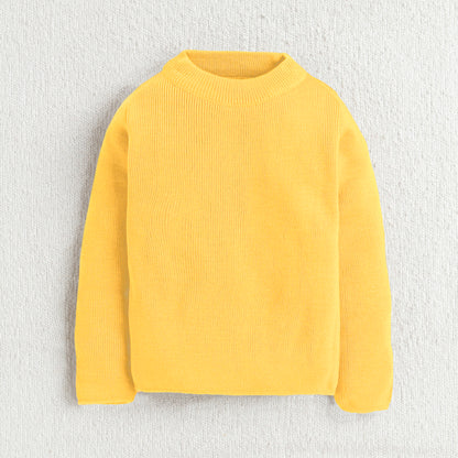 Unisex Baby & Kids Winter T-Neck Sweater | Warm Woollen Skivvy Pullover for Boys & Girls