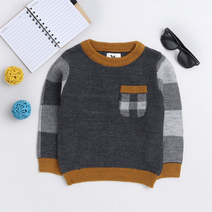 Boys Colorblock Round Neck  Sweater